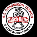 BLACK BULLS FIGHTERS