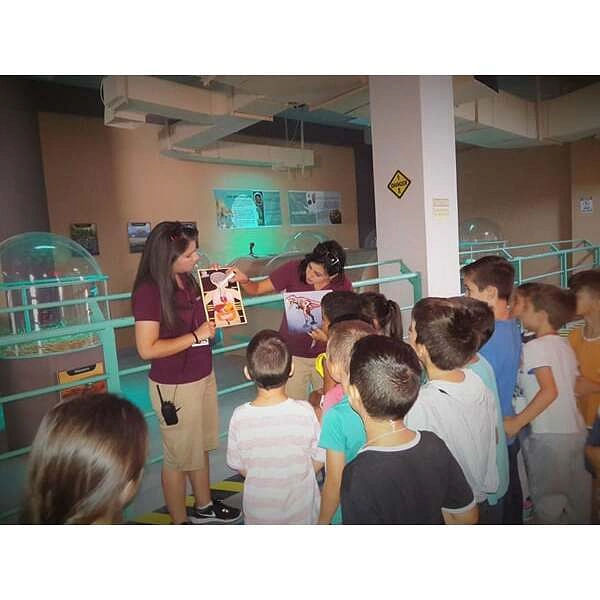 Dinosauria Park, Ψάχνεις για Παιδότοποι στην περιοχή Κοκκίνη Χάνι; Dinosauria Park στην περιοχή: Κοκκίνη Χάνι. Τηλέφωνο, χάρτης, οδηγίες.
