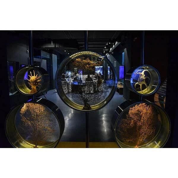 Cretaquarium - Θαλασσόκοσμος, Ψάχνεις για Θεματικά πάρκα ζώων στην περιοχή Κοκκίνη Χάνι; Cretaquarium - Θαλασσόκοσμος στην περιοχή: Κοκκίνη Χάνι. Τηλέφωνο, χάρτης, οδηγίες.