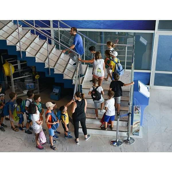 Cretaquarium - Θαλασσόκοσμος, Ψάχνεις για Θεματικά πάρκα ζώων στην περιοχή Κοκκίνη Χάνι; Cretaquarium - Θαλασσόκοσμος στην περιοχή: Κοκκίνη Χάνι. Τηλέφωνο, χάρτης, οδηγίες.