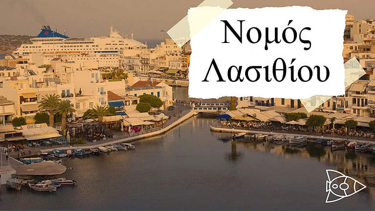 Βρες τα πάντα για τα παιδιά και την οικογένεια στο νομό Λασιθίου