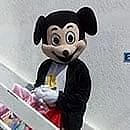Ήρωες της Disney
