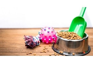 Βρες επιλεγμένα pet shops σε όλη την Κρήτη, από Ηράκλειο, Χανιά, Ρέθυμνο, μέχρι και Λασίθι.