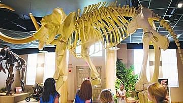 Βρες θεματικά πάρκα ζώων σε όλη την Κρήτη, από Ηράκλειο, Χανιά, Ρέθυμνο μέχρι και Άγιο Νικόλαο